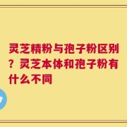 灵芝精粉与孢子粉区别？灵芝本体和孢子粉有什么不同