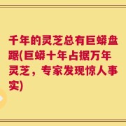 千年的灵芝总有巨蟒盘踞(巨蟒十年占据万年灵芝，专家发现惊人事实)