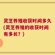 灵芝养殖收获时间多久(灵芝养殖的收获时间有多长？)
