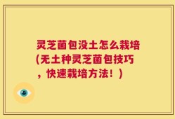 灵芝菌包没土怎么栽培(无土种灵芝菌包技巧，快速栽培方法！)