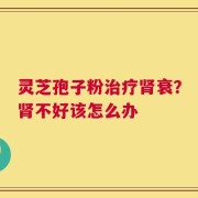 灵芝孢子粉治疗肾衰？肾不好该怎么办