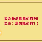 灵芝是高能量药材吗(灵芝：高效能药材？)