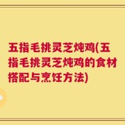 五指毛挑灵芝炖鸡(五指毛挑灵芝炖鸡的食材搭配与烹饪方法)