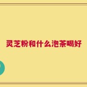 灵芝粉和什么泡茶喝好