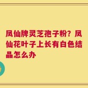 凤仙牌灵芝孢子粉？凤仙花叶子上长有白色结晶怎么办
