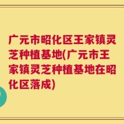 广元市昭化区王家镇灵芝种植基地(广元市王家镇灵芝种植基地在昭化区落成)