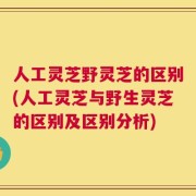 人工灵芝野灵芝的区别(人工灵芝与野生灵芝的区别及区别分析)