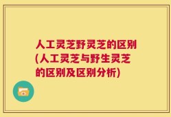 人工灵芝野灵芝的区别(人工灵芝与野生灵芝的区别及区别分析)