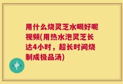 用什么烧灵芝水喝好呢视频(用热水泡灵芝长达4小时，超长时间烧制成极品汤)