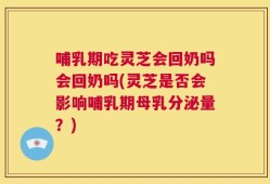 哺乳期吃灵芝会回奶吗会回奶吗(灵芝是否会影响哺乳期母乳分泌量？)