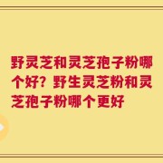 野灵芝和灵芝孢子粉哪个好？野生灵芝粉和灵芝孢子粉哪个更好
