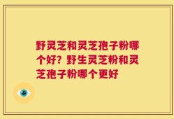 野灵芝和灵芝孢子粉哪个好？野生灵芝粉和灵芝孢子粉哪个更好