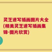 灵芝速写插画图片大全(精美灵芝速写插画集锦-图片欣赏)