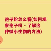 孢子粉怎么看(如何观察孢子粉 - 了解这种微小生物的方法)