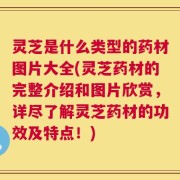 灵芝是什么类型的药材图片大全(灵芝药材的完整介绍和图片欣赏，详尽了解灵芝药材的功效及特点！)