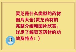 灵芝是什么类型的药材图片大全(灵芝药材的完整介绍和图片欣赏，详尽了解灵芝药材的功效及特点！)