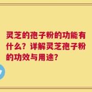 灵芝的孢子粉的功能有什么？详解灵芝孢子粉的功效与用途？