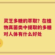 灵芝多糖的萃取？在植物真菌类中提取的多糖对人体有什么好处