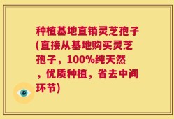 种植基地直销灵芝孢子(直接从基地购买灵芝孢子，100%纯天然，优质种植，省去中间环节)