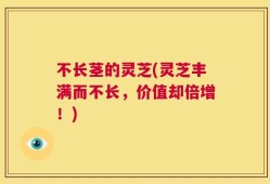 不长茎的灵芝(灵芝丰满而不长，价值却倍增！)