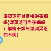 湿灵芝可以直接泡茶喝吗(湿灵芝可当茶喝吗？解密干燥与湿润灵芝的不同)