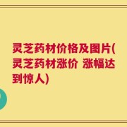灵芝药材价格及图片(灵芝药材涨价 涨幅达到惊人)