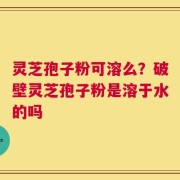 灵芝孢子粉可溶么？破壁灵芝孢子粉是溶于水的吗