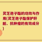 灵芝孢子酯的功效与作用(灵芝孢子酯保护肝脏、抗肿瘤的有效成分)