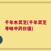 千年木灵芝(千年灵芝寻味中药价值)