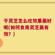 干灵芝怎么吃效果最好呢(如何食用灵芝最有效？)