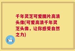 千年灵芝可爱图片高清头像(可爱高清千年灵芝头像，让你感受自然之力)