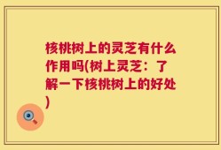 核桃树上的灵芝有什么作用吗(树上灵芝：了解一下核桃树上的好处)