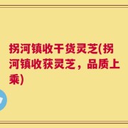 拐河镇收干货灵芝(拐河镇收获灵芝，品质上乘)