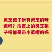 灵芝孢子粉有灵芝的味道吗？市面上的灵芝孢子粉都是带小蓝帽的吗