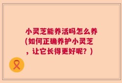 小灵芝能养活吗怎么养(如何正确养护小灵芝，让它长得更好呢？)