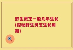 野生灵芝一般几年生长(探秘野生灵芝生长周期)
