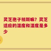 灵芝孢子祛斑嘛？灵芝适应的湿度和湿度是多少