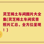 灵芝稀土车间图片大全集(灵芝稀土车间实景照片汇总，全方位呈现！)