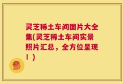 灵芝稀土车间图片大全集(灵芝稀土车间实景照片汇总，全方位呈现！)