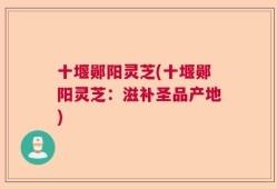 十堰郧阳灵芝(十堰郧阳灵芝：滋补圣品产地)