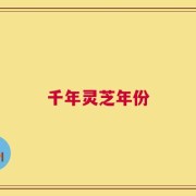 千年灵芝年份