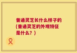 普通灵芝长什么样子的(普通灵芝的外观特征是什么？)