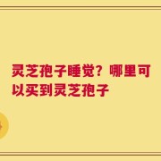 灵芝孢子睡觉？哪里可以买到灵芝孢子