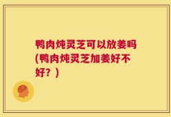 鸭肉炖灵芝可以放姜吗(鸭肉炖灵芝加姜好不好？)