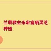 兰蘑教主永宏富硒灵芝种植
