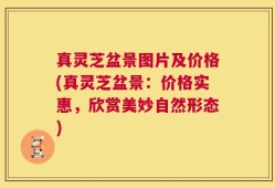 真灵芝盆景图片及价格(真灵芝盆景：价格实惠，欣赏美妙自然形态)