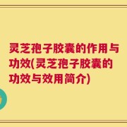 灵芝孢子胶囊的作用与功效(灵芝孢子胶囊的功效与效用简介)