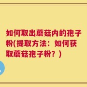 如何取出蘑菇内的孢子粉(提取方法：如何获取蘑菇孢子粉？)