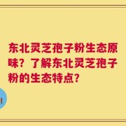 东北灵芝孢子粉生态原味？了解东北灵芝孢子粉的生态特点？