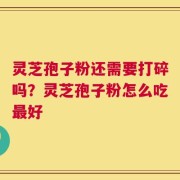 灵芝孢子粉还需要打碎吗？灵芝孢子粉怎么吃最好